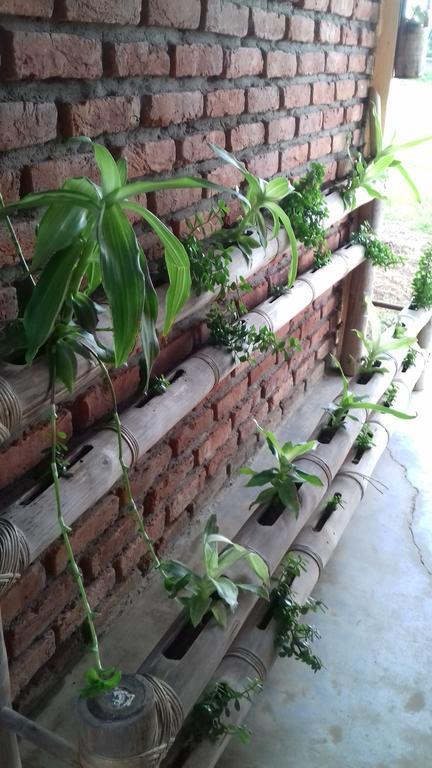 Longchen Homestay Dimāpur Exterior photo